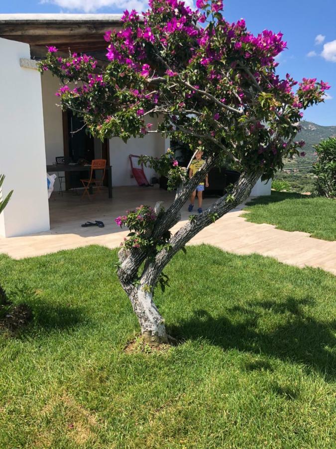 Villa Alba Esclusiva Villa Con Piscina A Sfioro E Vista Mozzafiato Sul Mare Cugnana Exterior foto
